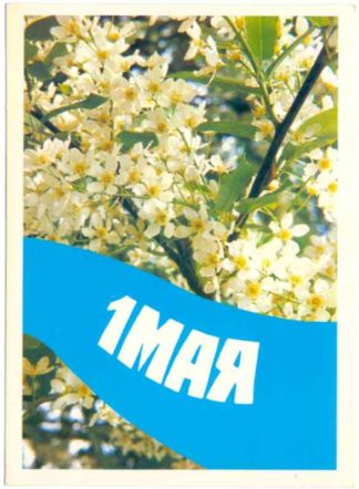 ДМПК XII-5951. 1989 год. 1 мая. Фото В. Жаворонков / оформление В. Горюновой