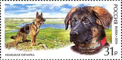 23 июня в рамках продолжения серии «Служебные породы собак» в почтовое обращение вышли две марки, посвящённые немецкой овчарке и колли
