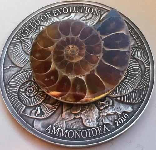 Монета Буркина-Фасо с древним моллюском аммонитом